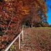 Herbst Ritu Sandhi